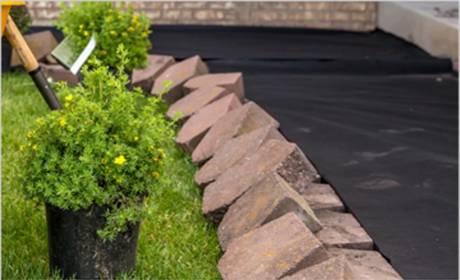 a stone wall with plants in the background