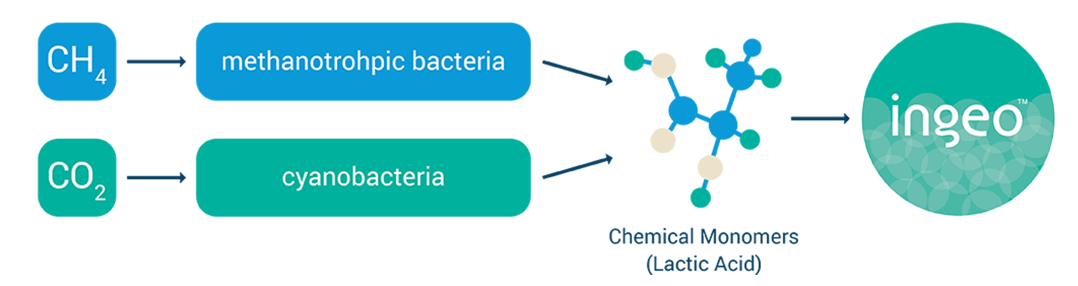 GHGGraphic1070x6002x2x%202png