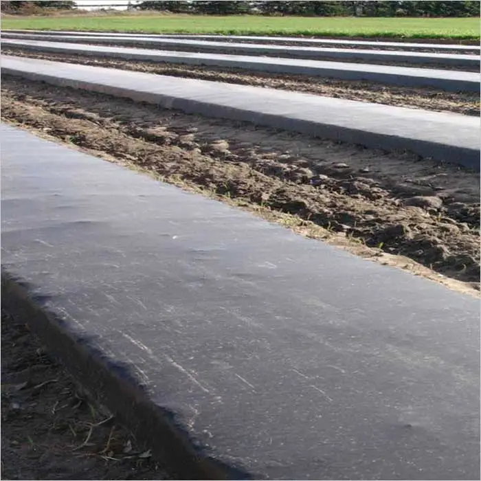 a close-up of a train track