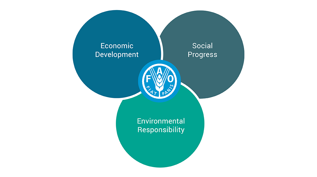 a diagram of a diagram