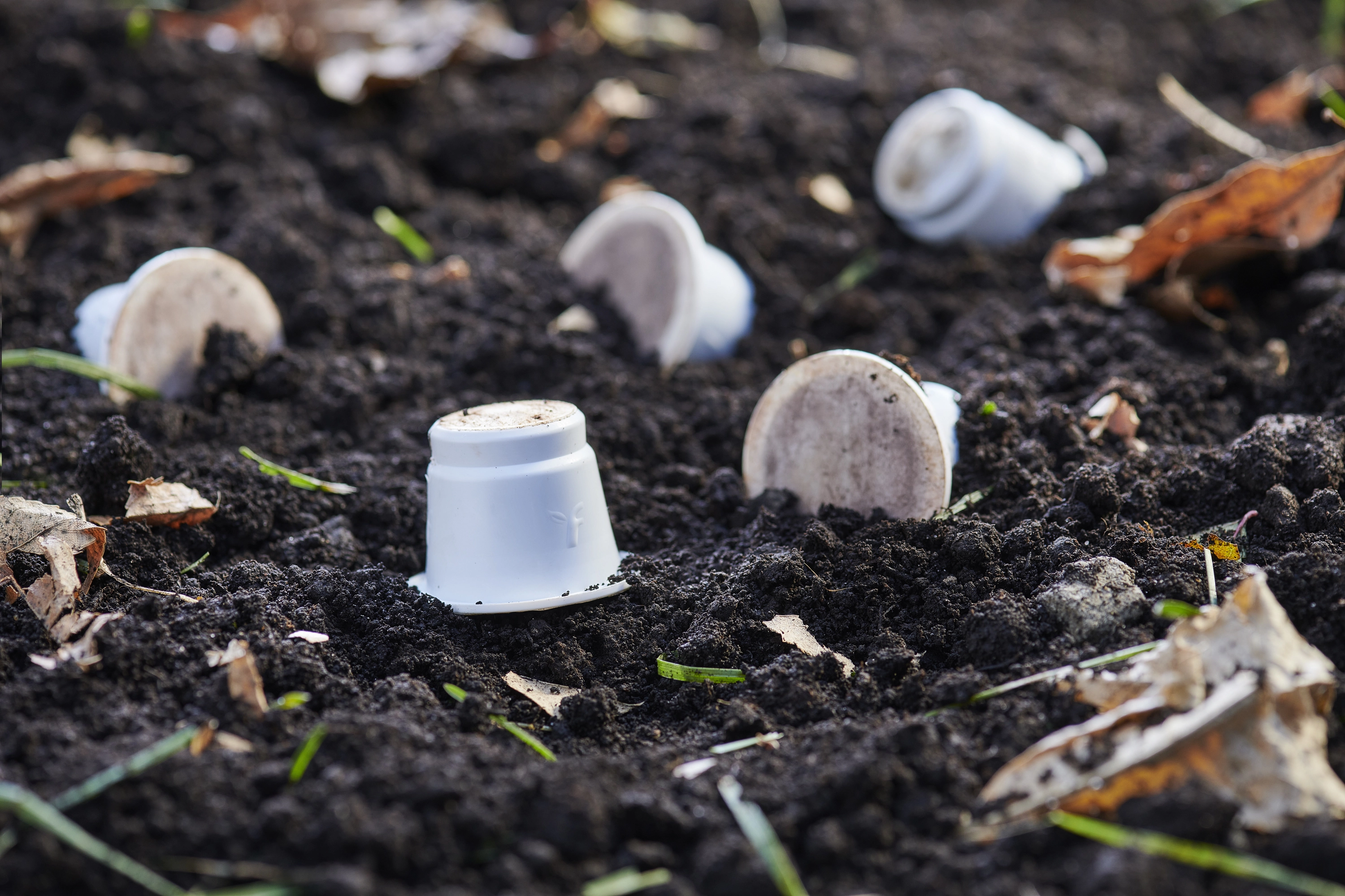 a white plastic cup in the dirt