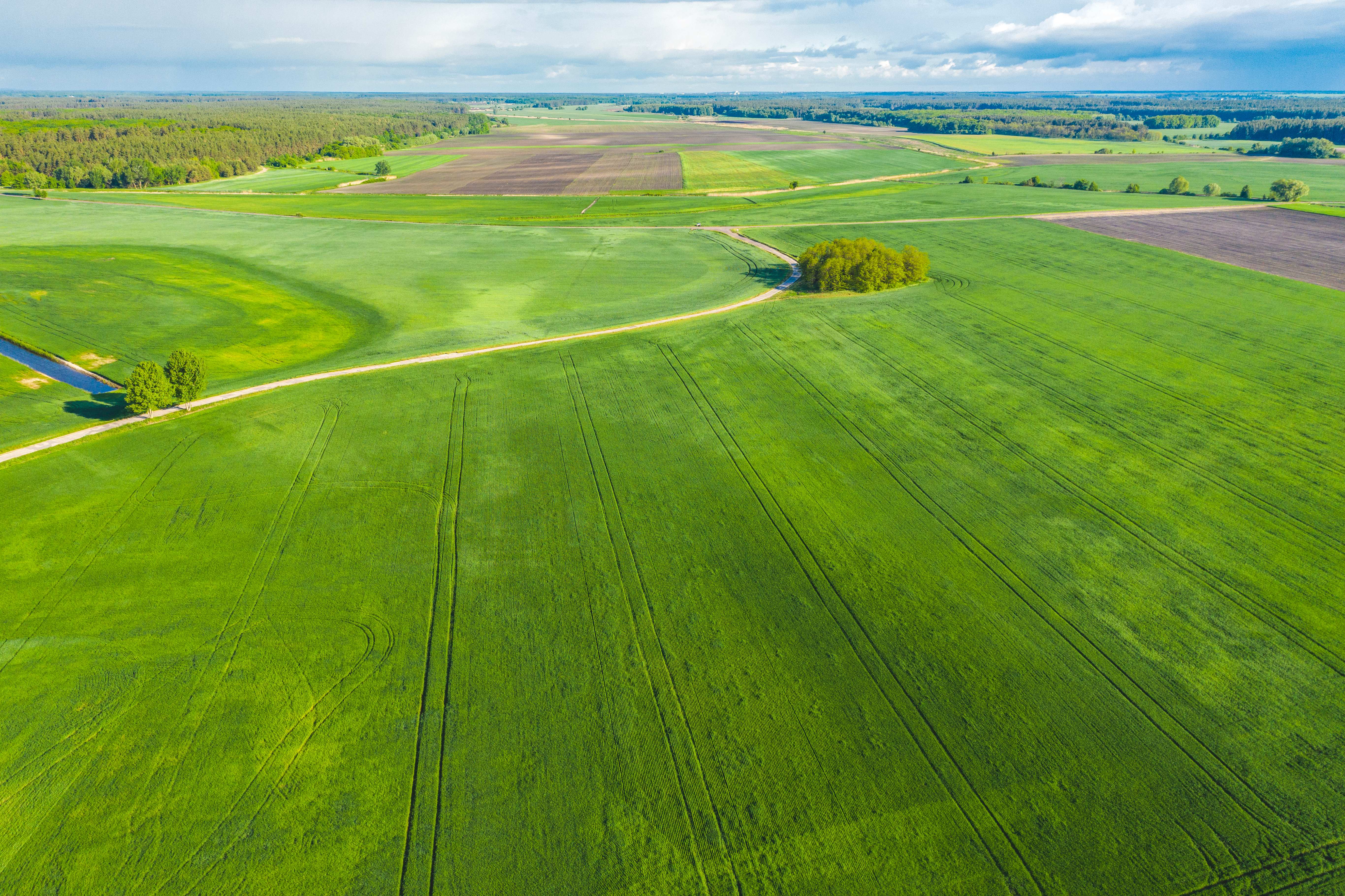 a large green field with trees and a road