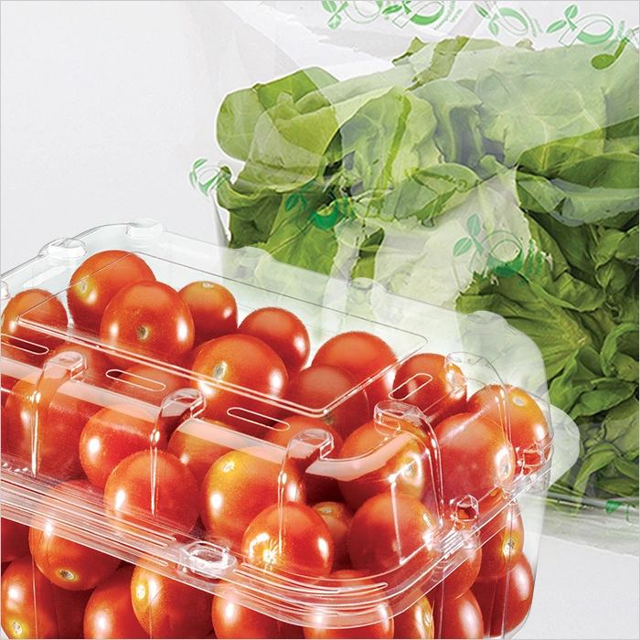 a plastic container with tomatoes in it