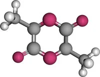 lactide molecule