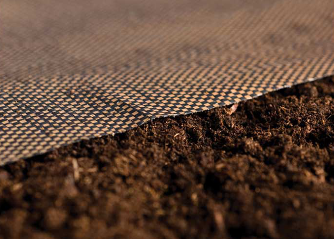 a close up of a piece of fabric