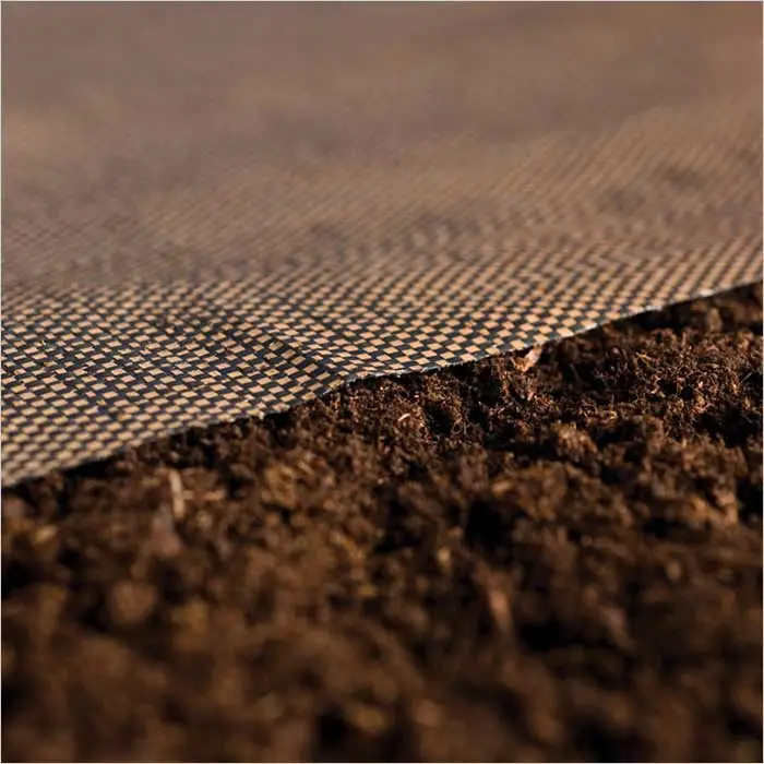 a close-up of a piece of fabric